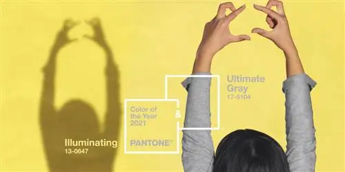 Новый цвет года по версии Pantone, это два! ?