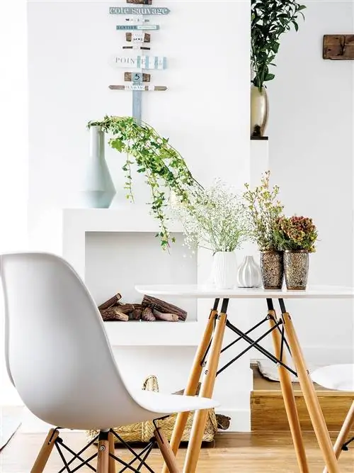 Белый, Мебель, Дизайн интерьера, Комната, Стул, Комнатное растение, Стол, Филиал, Дизайн, Растение,