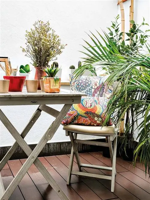 Мебель, Стол, Комнатное растение, Комната, Дизайн интерьера, Стул, Балкон, Журнальный столик, Ботаника, Вазон,