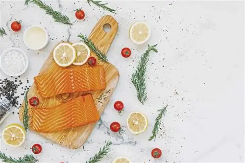 сырое филе лосося