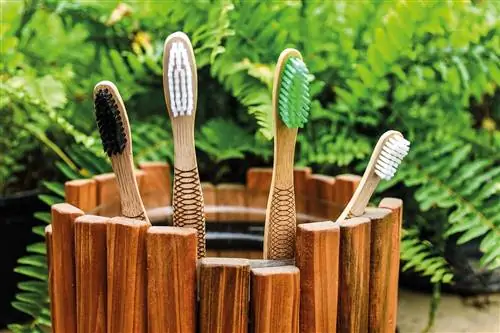 экологические кисти