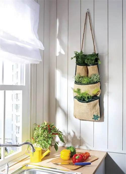 ароматный мини-сад на кухонной стене