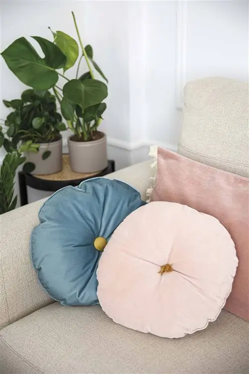 экзотическая квартира в мадриде кухня совмещена с гостиной