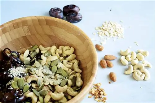 начинки из сухофруктов для приготовления начинки