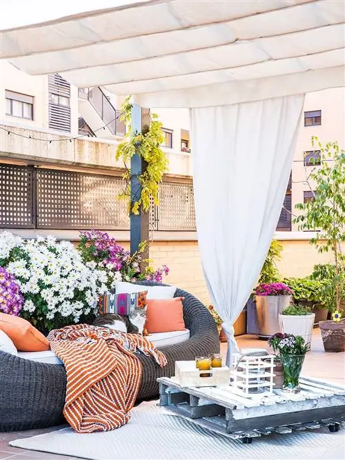 Недвижимость, Желтый, Комната, Фиолетовый, Лаванда, Дизайн интерьера, Мебель, Главная, Крыльцо, Стол,