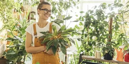 7 красивое, но сложное в уходе комнатное растение