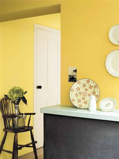 Желтый, Зеленый, Комната, Стена, Дизайн интерьера, Мебель, Стол, Обои, Полка, Дизайн,