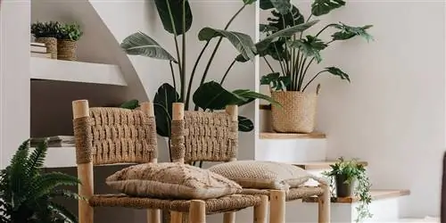 Советы и подсказки по уходу за искусственными растениями в домашних условиях