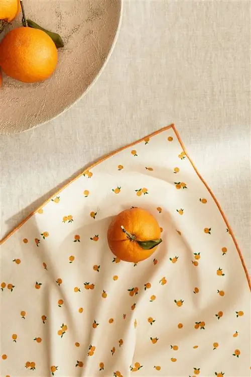 коллекция Zara для домашнего пикника