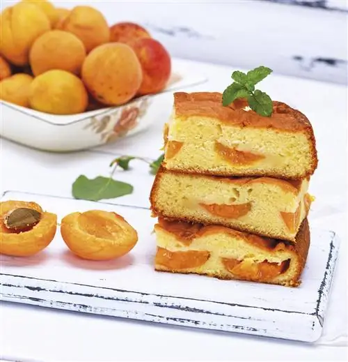 пирог с абрикосами и корицей