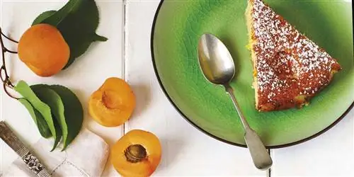 10 рецептов с абрикосами: золотой фрукт