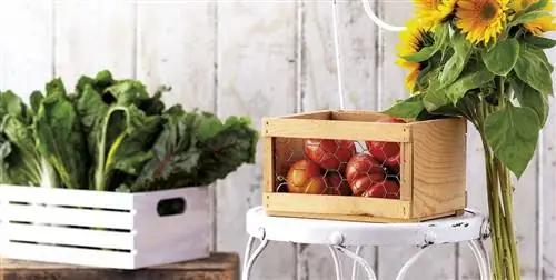 5 продуктов, которые помогут вам позаботиться о ваших волосах