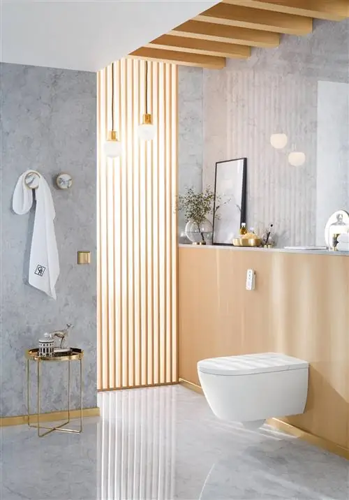 villeroy and boch Viclean i 100 туалет с душем villeroy and boch Viclean i 100 туалет с душем