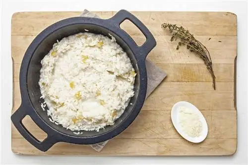 засахаренное лимонное ризотто 3