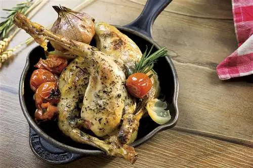 деревенский кролик