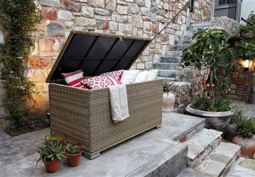 Сад: открытый ствол