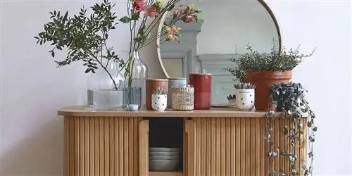 Основной: буфет