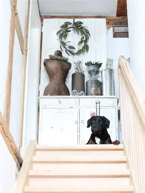 старинные предметы