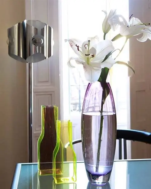 Стекло, Питьевая посуда, Сервировочная посуда, Лепесток, Дизайн интерьера, Артефакт, Посуда, Посуда для бара, Ваза, Срезанные цветы,