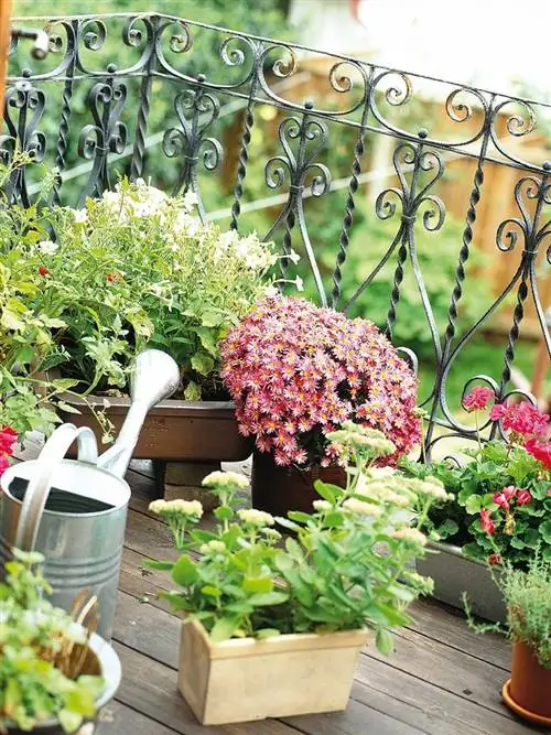 цветочный горшок, растение, цветок, дизайн интерьера, сад, кустарник, комнатное растение, ингредиент, трава, железо,