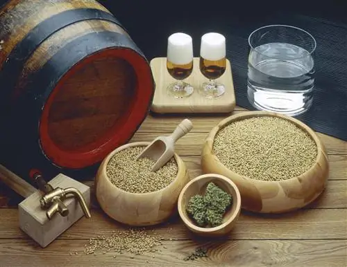 ингредиенты для пива