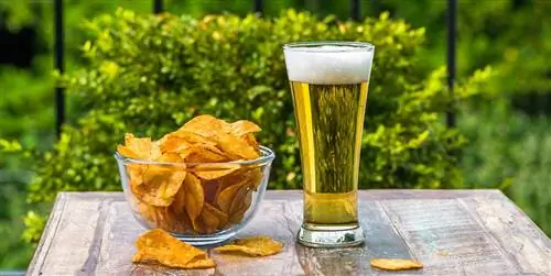 Знаете ли вы, что пиво очень полезно для здоровья? Откройте для себя виды пива и как его пить