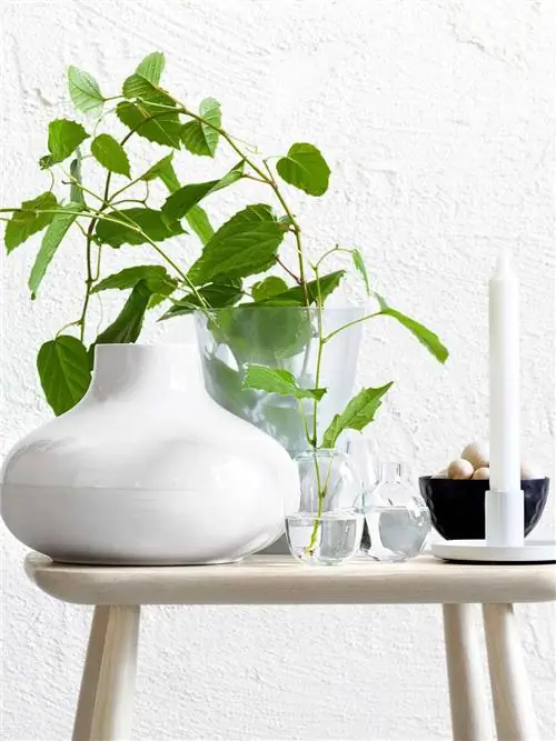 украшение из растений и свечей в ванной комнате