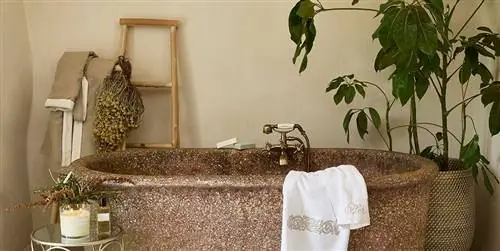 Комнатные растения в ванной