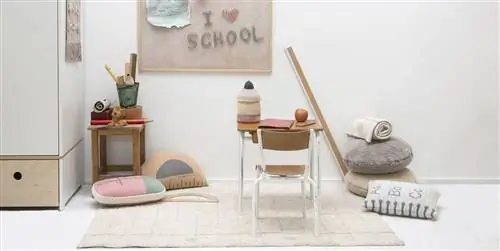 Украсьте его спальню, чтобы он мог вернуться в школу счастливее моллюска