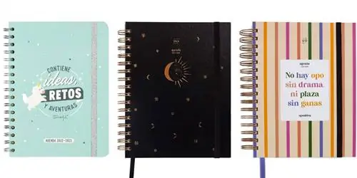 20 самых красивых школьных программ для начала курса