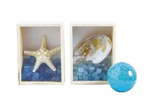 картины с ракушками и морскими звездами