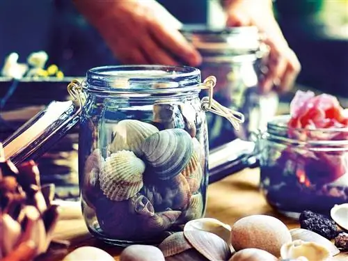 стеклянные банки с ракушками