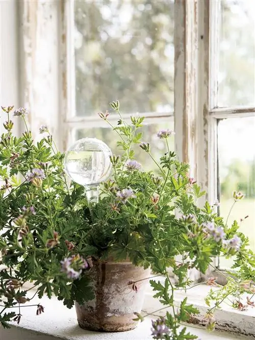 горшки с автополивом