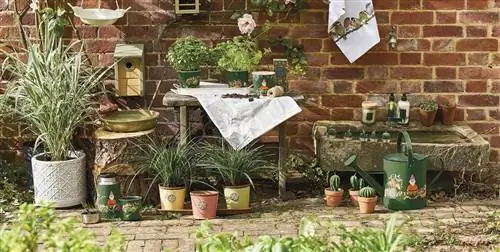 Как выбрать лучшие горшки для ваших растений