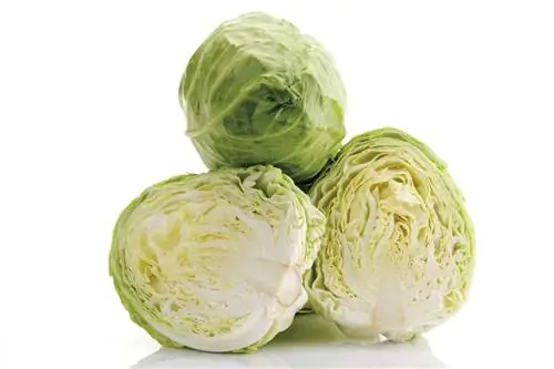 капуста или капуста