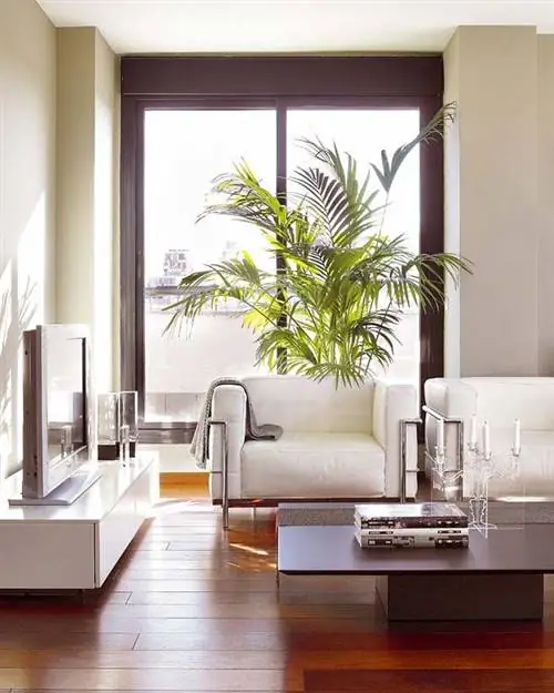 Дизайн интерьера, Комната, Этаж, Стена, Диван, Гостиная, Настил, Дизайн интерьера, Дом, Ламинат,