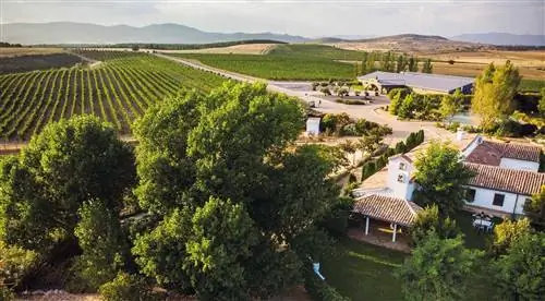 Винодельня Finca Rio Negro