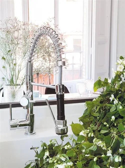 Дверь, Арка, Кустарник, Сантехника, Домашняя дверь, Молдинг, Однолетнее растение, Аранжировка цветов,