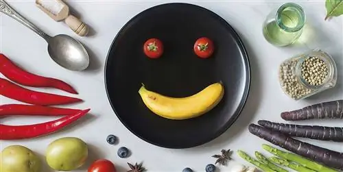 Какой должна быть ваша диета перед школой и рутиной