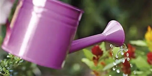 Практические советы для повседневной жизни дома