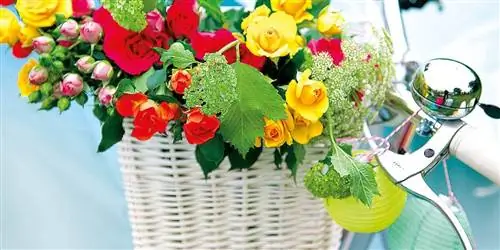 Стильный кемпинг в глэмпинге