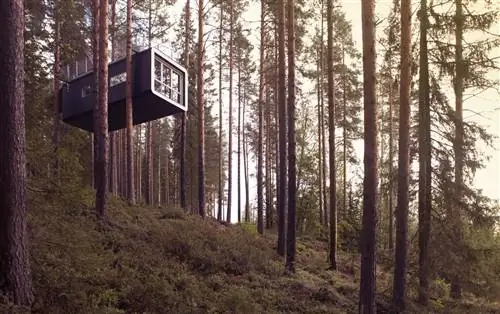 Отель Tree в Швеции