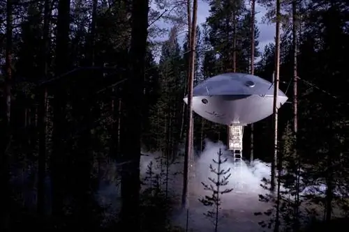 Отель Tree в Швеции