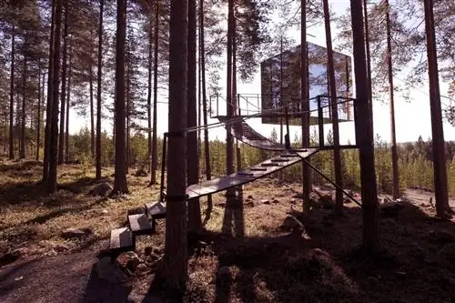 Отель Tree в Швеции