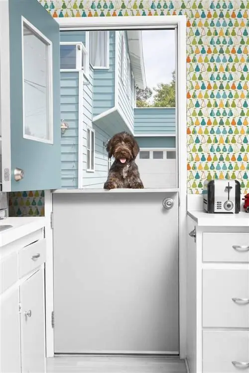 кухня с очень яркими обоями