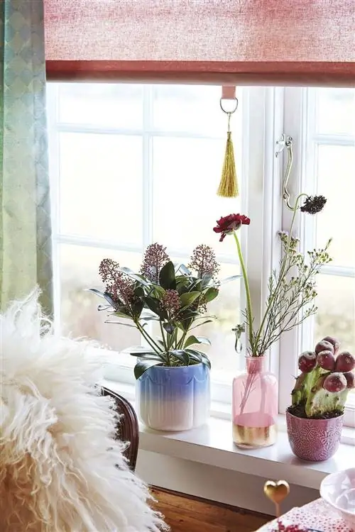 вазы с цветами