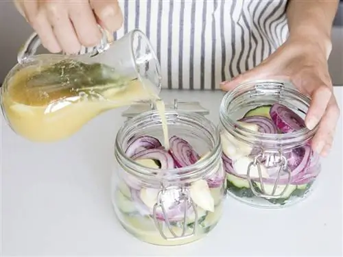 Банка каменщика, Продукт, Рука, Еда, Посуда, Палец, Рецепт, Стекло, Лук, Растение,