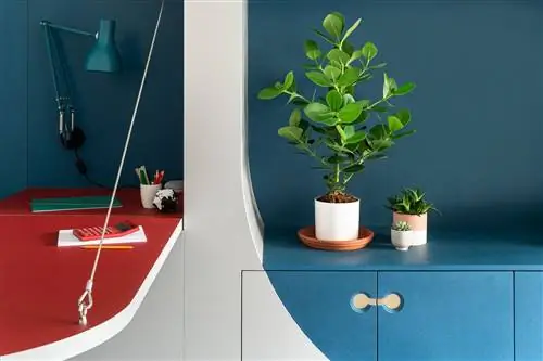 Отремонтированная мини-квартира в Барбакане