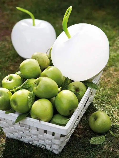 зеленый, фрукты, натуральная еда, цельная еда, веганское питание, продукты, еда, бабушка кузнец, местная еда, ингредиент,