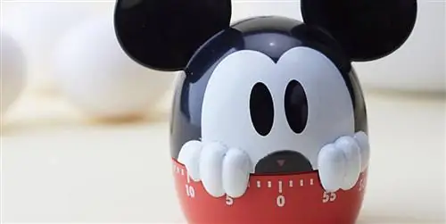 Disney запускает интернет-магазин с отделом декора